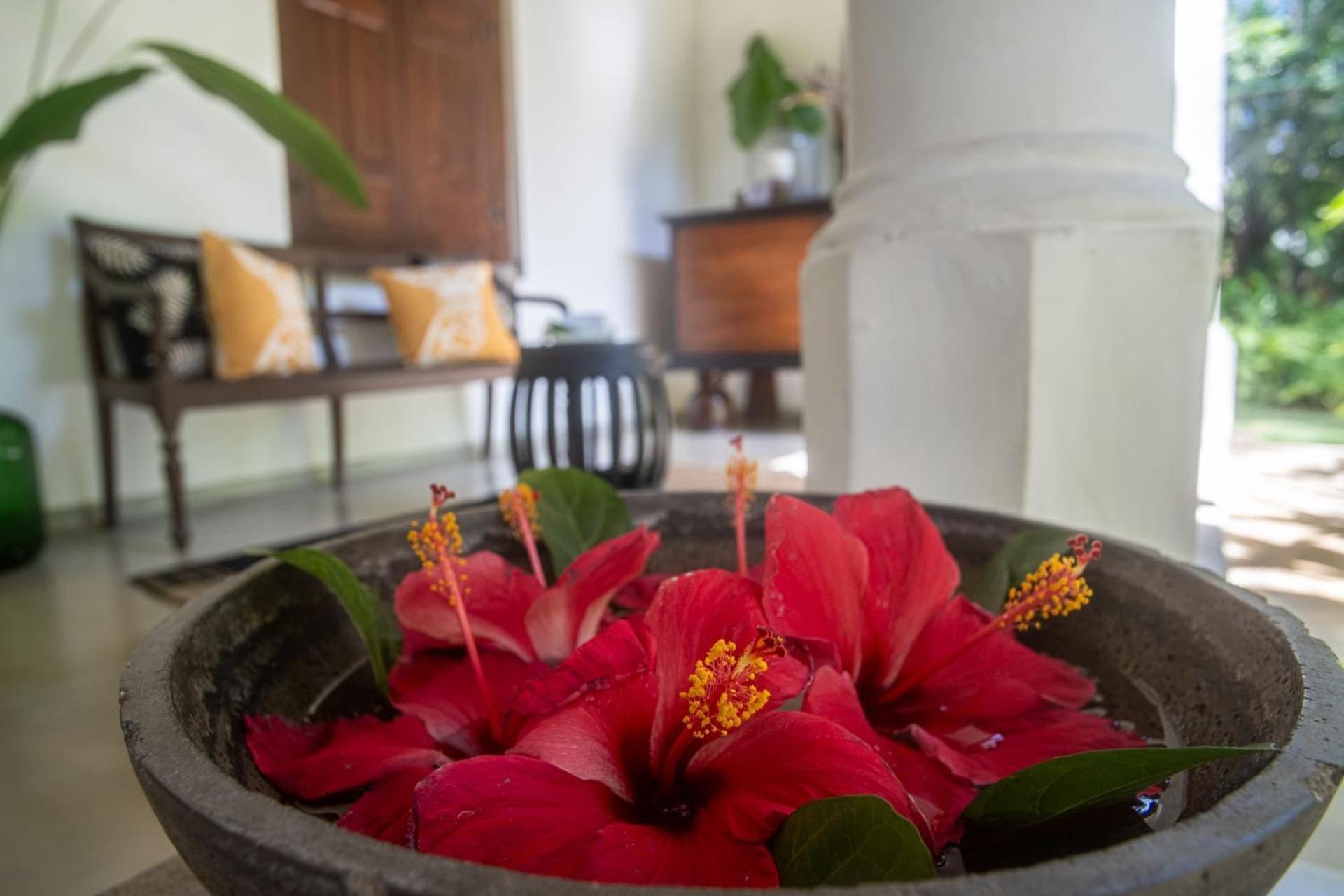 Mo River House Luxury Villa Hikkaduwa Dış mekan fotoğraf